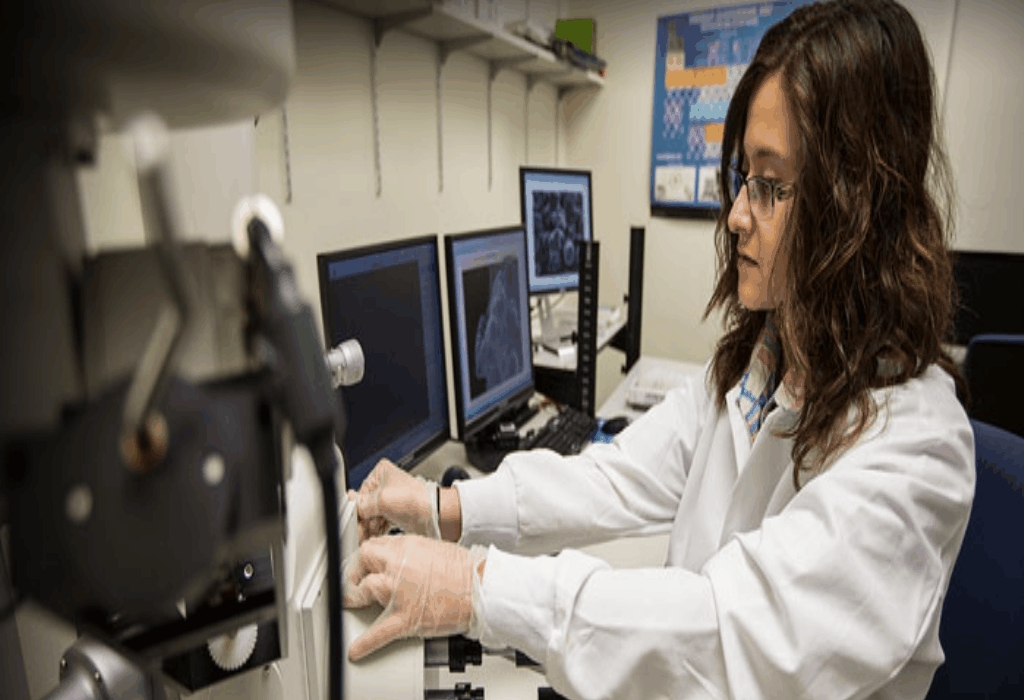 The Hidden Truth on Brain Error Engineering Education Student Exposed Brain Error Engineering Education Student