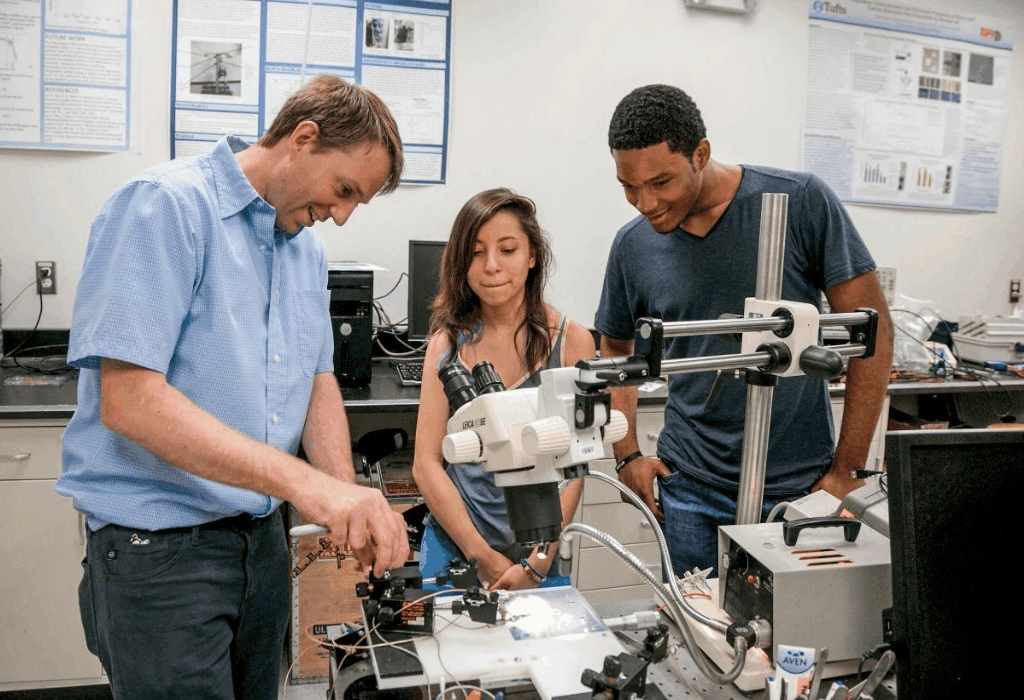 Brain Error Engineering Student Education Degree